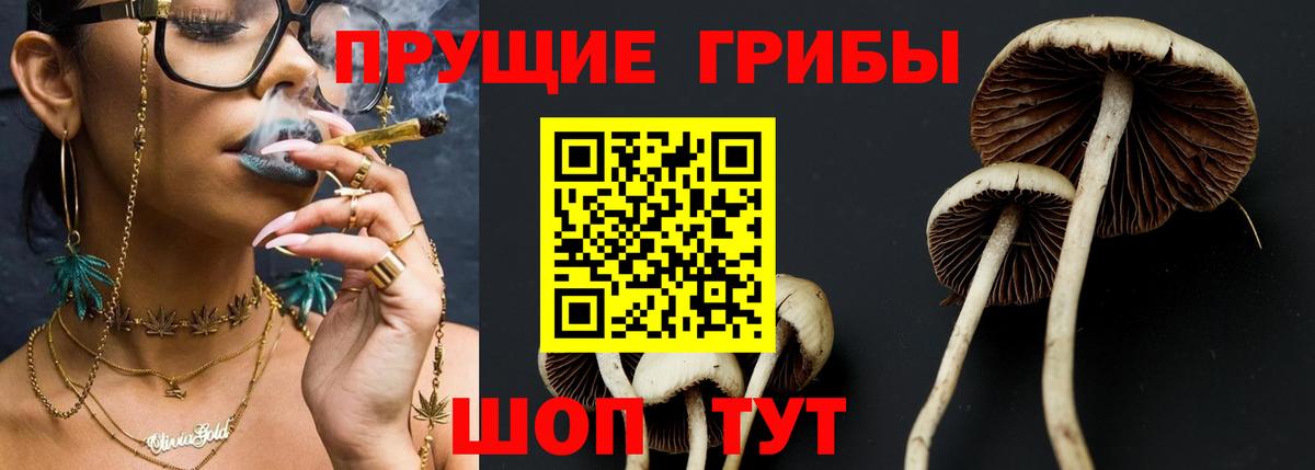 Урай  Псилоцибиновые грибы MAGIC MUSHROOMS  Вход с VPN 